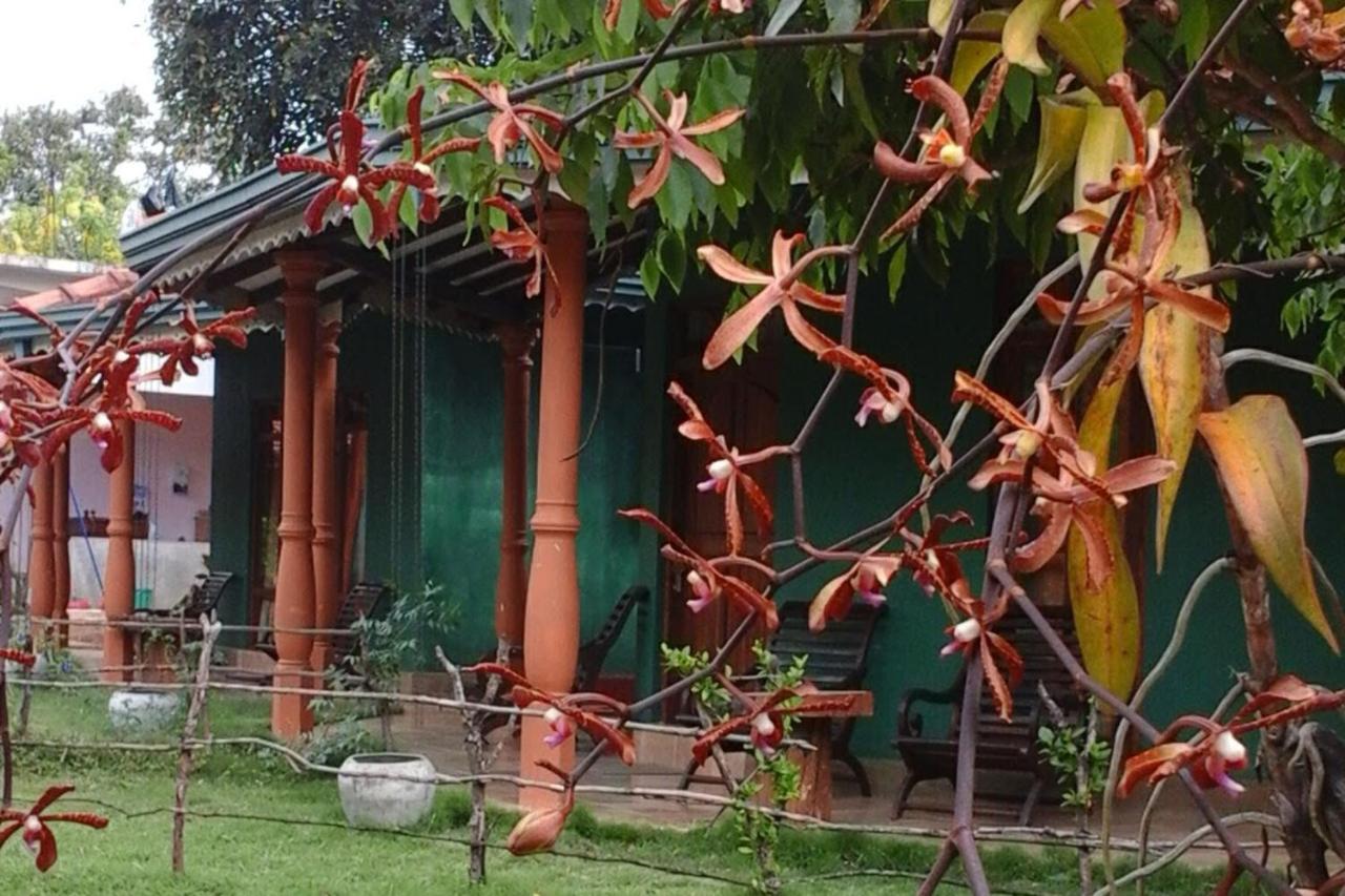Sigiriya Melrose Villas Екстер'єр фото